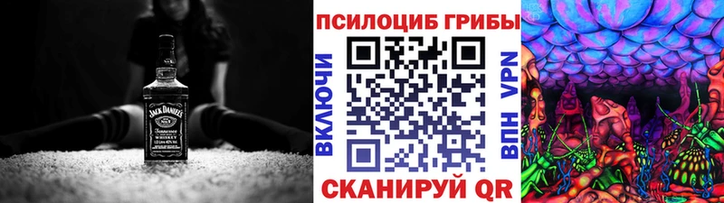 как найти закладки  мега онион  Галлюциногенные грибы прущие грибы  Нерчинск 